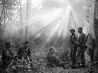 The sun breaks through dense jungle foliage as South Vietnamese troops, joined by U.S. advisers, rest after a cold, damp and tense night of waiting in an ambush position for a Viet Cong attack that didn't come, January 1965. The sun breaks through dense jungle foliage as South Vietnamese troops, joined by U.S. advisers, rest after a cold, damp and tense night of waiting in an ambush position for a Viet Cong attack that didn't come, January 1965.