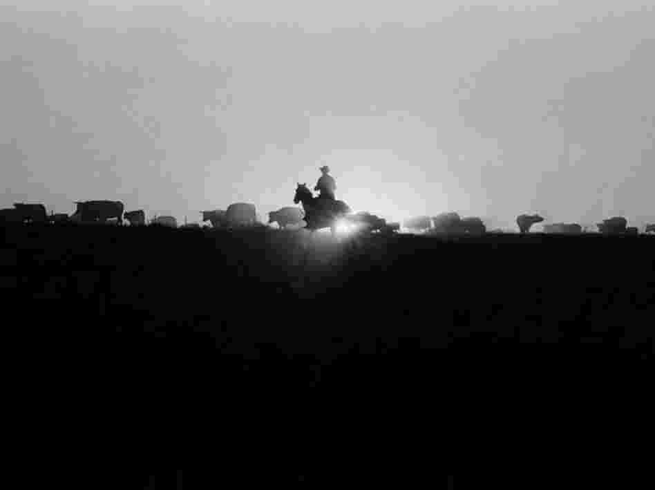 Dec. 17, 1970: "Roundup time on a ranch in New Mexico," began the caption on a business article about farming and the recession. The article concluded with a word of caution: "The watchword for the great feed grain-livestock industry in 1971 is uncertainty. High risk is normal, but it will be 'superhigh' risk this year."
