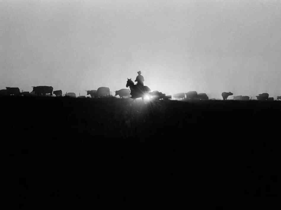 Dec. 17, 1970: "Roundup time on a ranch in New Mexico," began the caption on a business article about farming and the recession. The article concluded with a word of caution: "The watchword for the great feed grain-livestock industry in 1971 is uncertainty. High risk is normal, but it will be 'superhigh' risk this year."