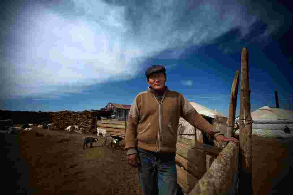 Bat-Erdene Badam stands inside his animal corral, made of wood and compressed animal dung. He says none of his children are interested in continuing to work as herders.