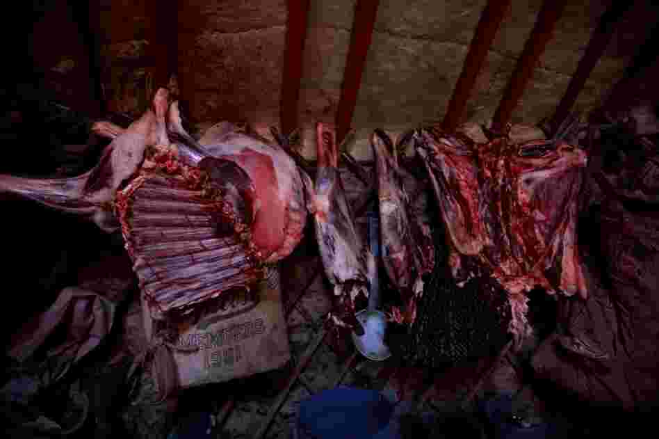 A freshly slaughtered sheep carcass hangs inside the family's ger, or yurt, to dry. Meat — usually mutton — and noodles are the main foods for most Mongolians.