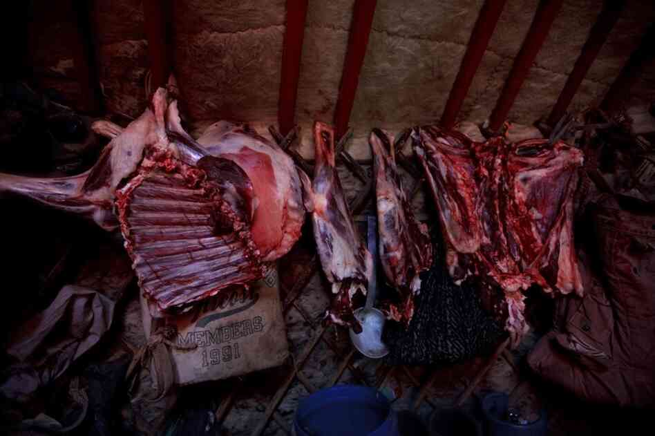 A freshly slaughtered sheep carcass hangs inside the family's ger, or yurt, to dry. Meat — usually mutton — and noodles are the main foods for most Mongolians.