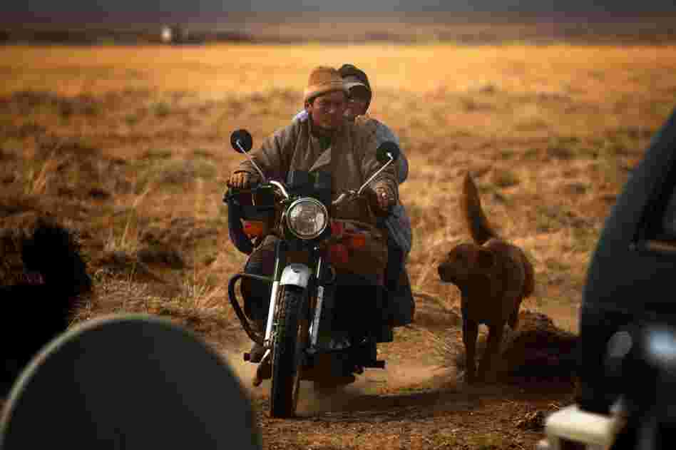 A veterinarian rides in on a motorcycle to check on the family's animals.