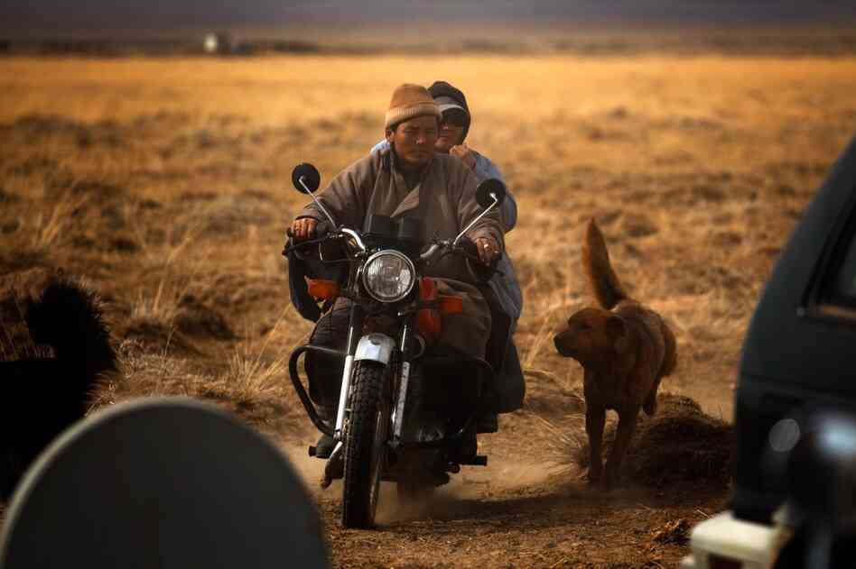 A veterinarian rides in on a motorcycle to check on the family's animals.