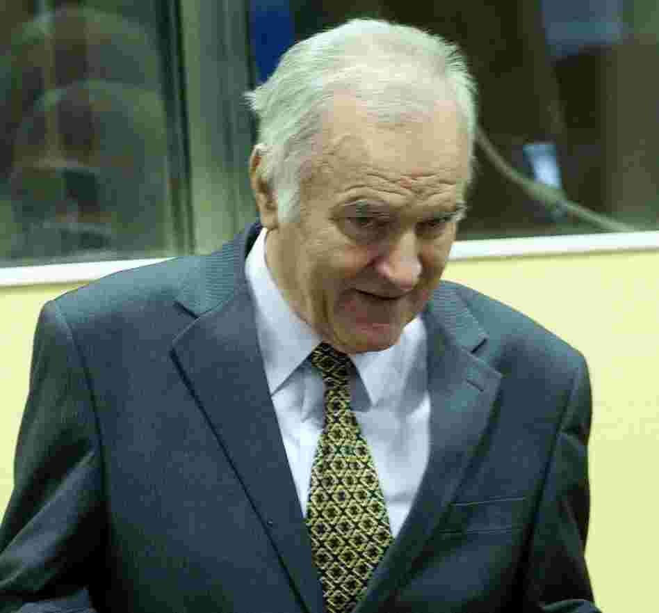 Former Bosnian Serb Gen. Ratko Mladic at the International Criminal Tribunal for the former Yugoslavia (ICTY) in The Hague earlier today.