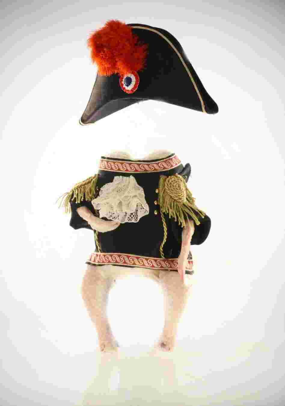 A chicken dressed like Napoleon
