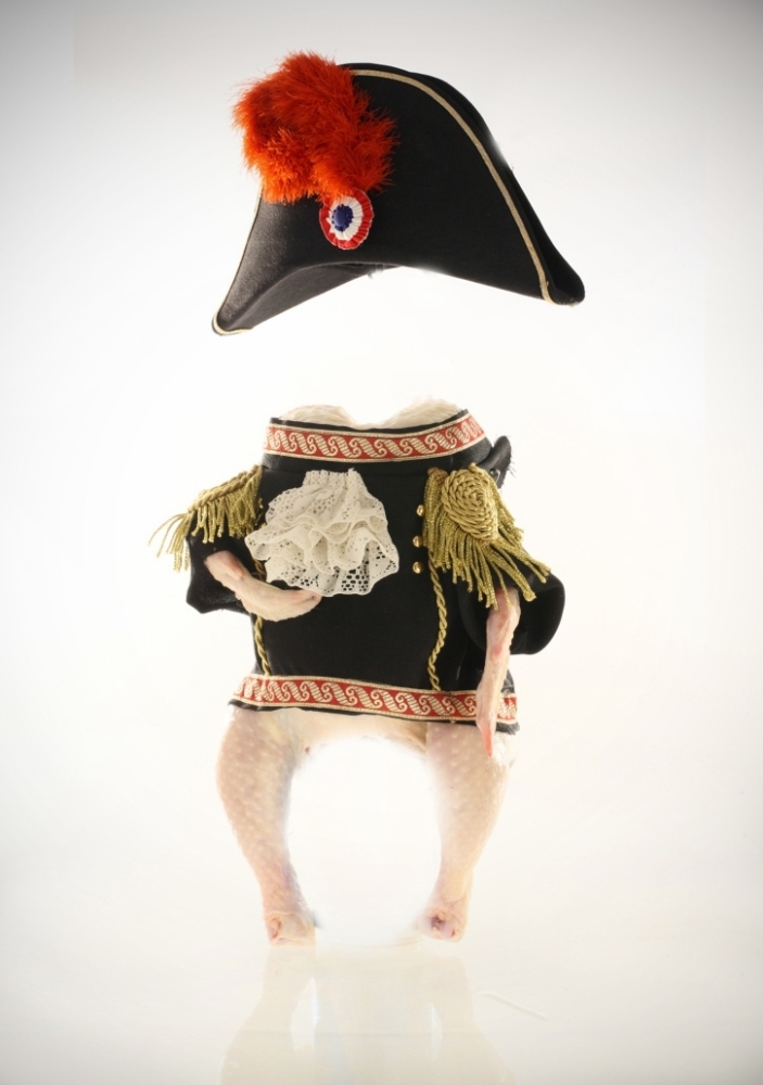 Hail The Conquering Chicken! A Story Of Dinner Plate Domination