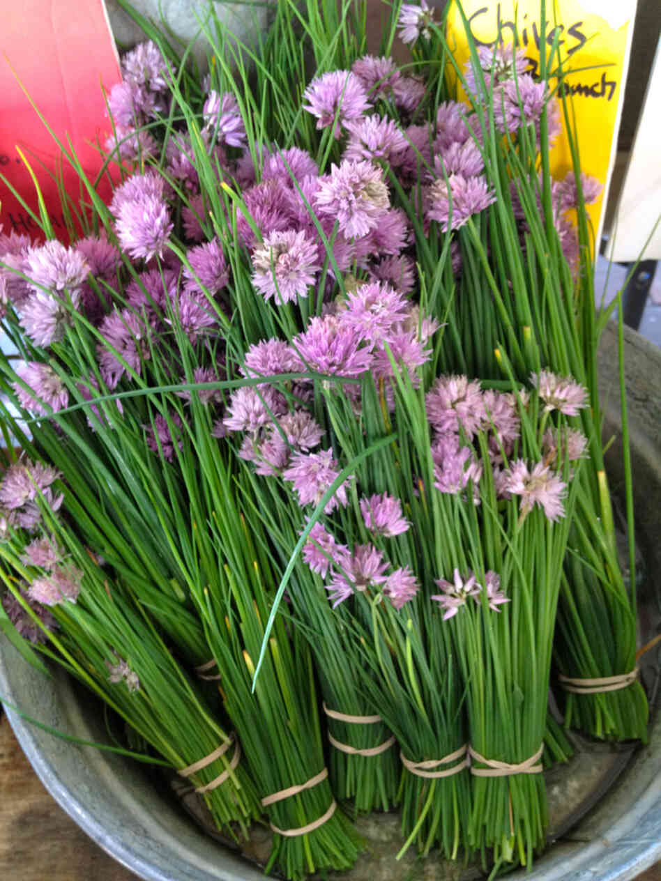 Herb blossoms, such as these chive blossoms from Westminster, Md.-based Gardeners Gourmet at Eastern Market in Washington, D.C., are a colorful addition to this zesty salad. Herb blossoms, such as these chive blossoms from Westminster, Md.-based Gardeners Gourmet at Eastern Market in Washington, D.C., are a colorful addition to this zesty salad.
