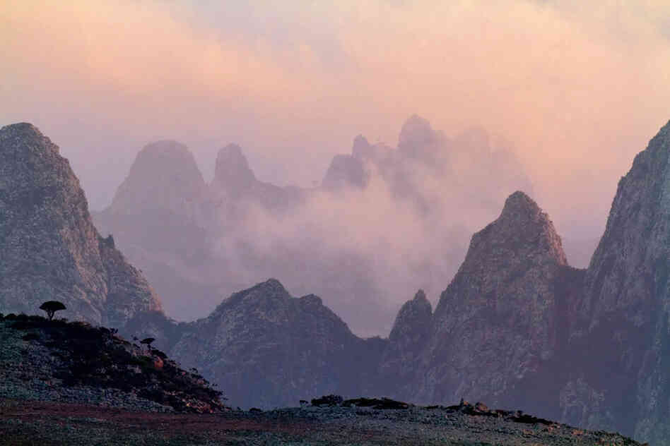 Ancient periods of volcanic activity built the Hajhir Mountains, where rugged granite peaks rise to nearly 5,000 feet. Nightly clouds provide moisture for plant life that's among the most diverse in Asia.