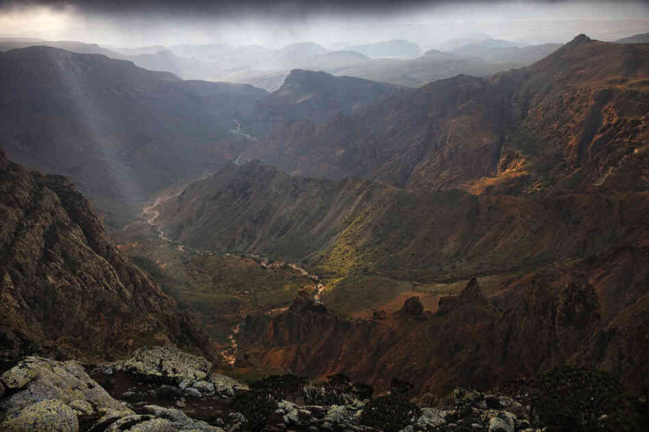 A wadi, or seasonal creek, meanders seaward among ridges of the Hajhir Mountains. Though most of the mountains' granite is reddish, a covering of lichens makes some rocks appear white.