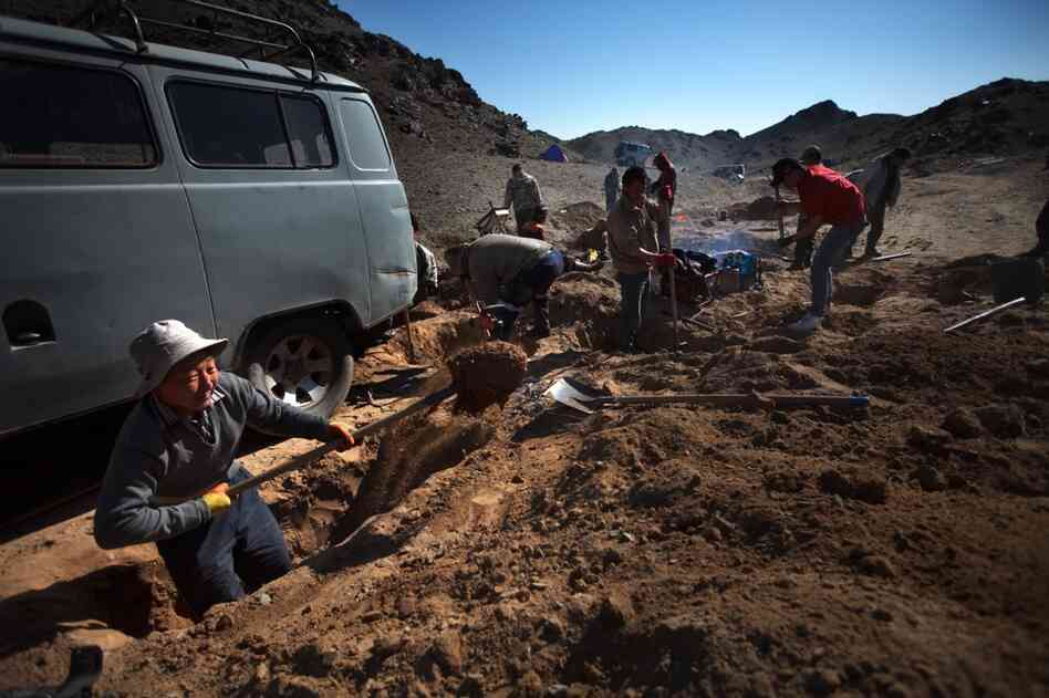 Digging for gold is technically illegal. But many Mongolians do it anyway when they hear of a strike to supplement their incomes.