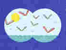 Illustration: Flying books on the horizon as viewed through binoculars. Illustration: Flying books on the horizon as viewed through binoculars.