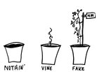 Plant 1 Plant 1