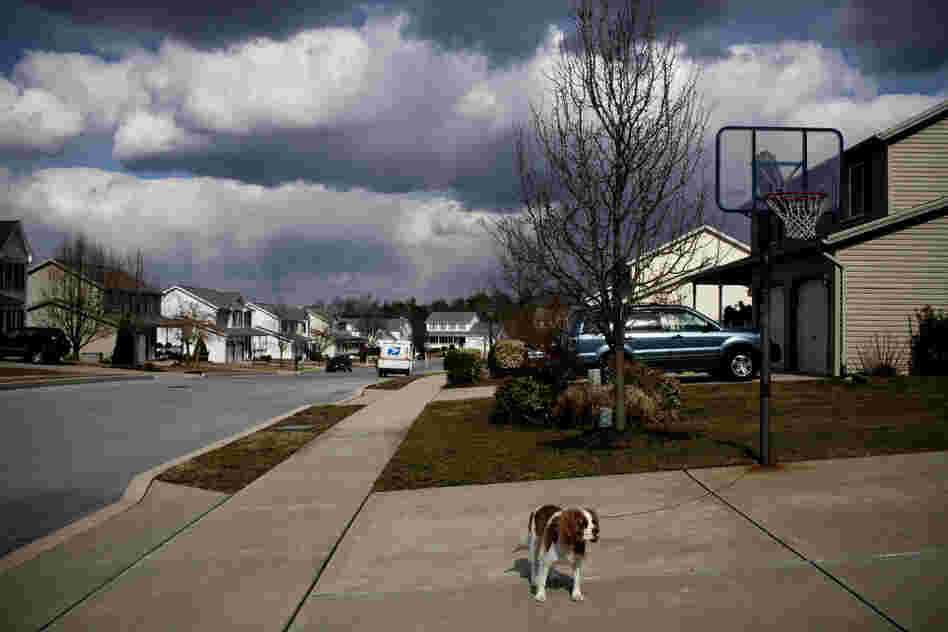 Chloe, the Martins' Cavalier King Charles Spaniel, stands in the family's driveway. "Hopefully they will learn how to take care of someone else, like me ... when I'm old," says David of his children.