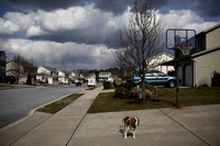 Chloe, the Martins' Cavalier King Charles Spaniel, stands in the family's driveway.
