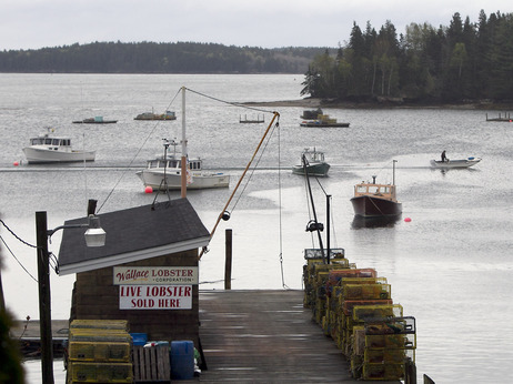 Lobster boats in Maine have been pulling up soft-shell lobsters strangely early in the season. Lobster boats in Maine have been pulling up soft-shell lobsters strangely early in the season.