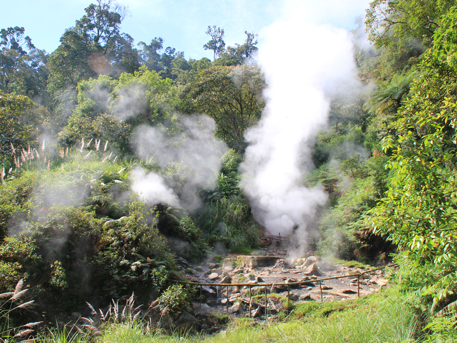 Geysers puffing steam and bubbling, sulfurous hot springs are plentiful in the Kawah Kamojang geothermal field in West Java. The field is located in a caldera, the crater of a volcano that has erupted and collapsed.