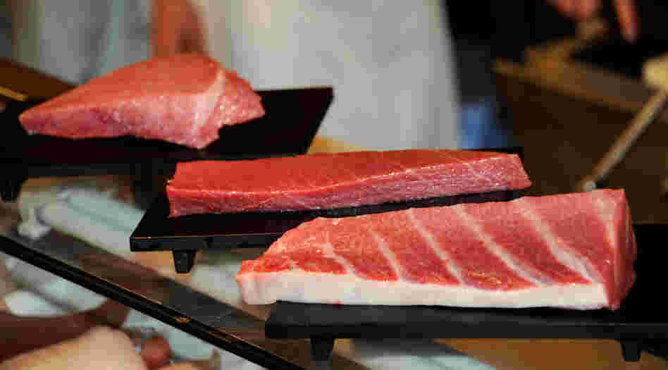 A Tokyo sushi restaurant displays blocks of fat meat tuna cut out from a 269kg bluefin tuna. A Tokyo sushi restaurant displays blocks of fat meat tuna cut out from a 269kg bluefin tuna.