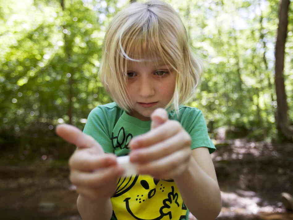 Lori Anne Madison, 6, studies a snail while also giving an interview to The Associated Press about being the youngest-ever competitor in the National Spelling Bee.