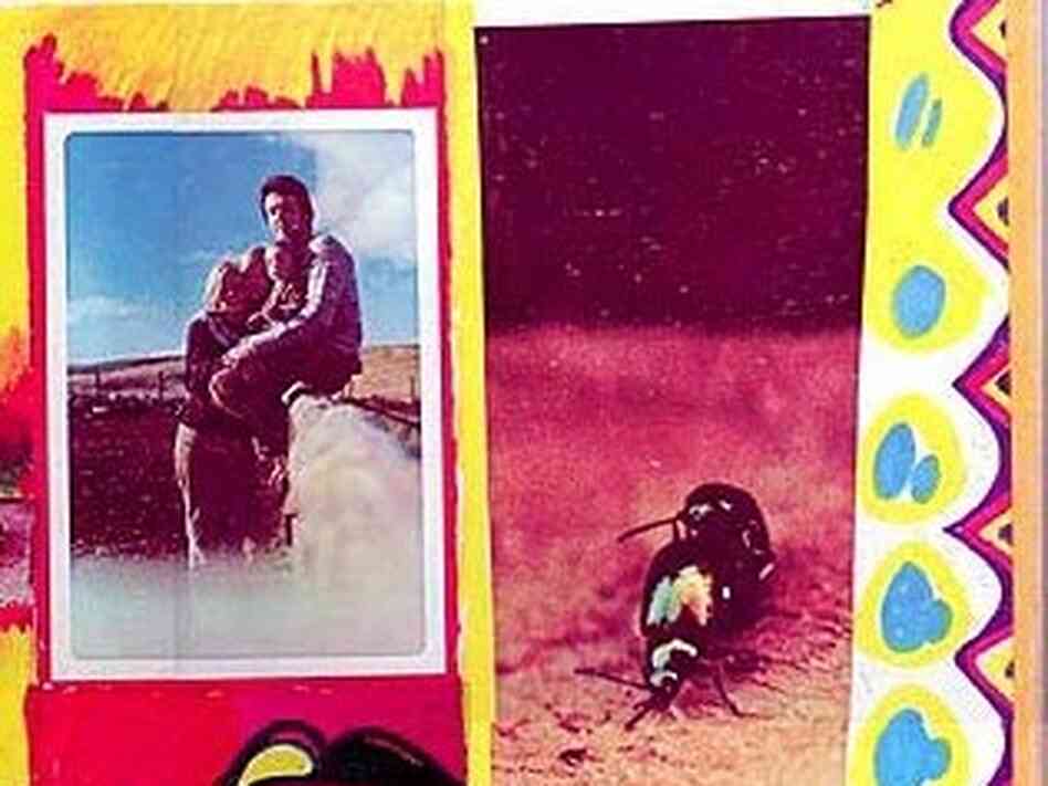 Copulating beetles on the back cover to Paul and Linda McCartney's 'Ram' Copulating beetles on the back cover to Paul and Linda McCartney's 'Ram'