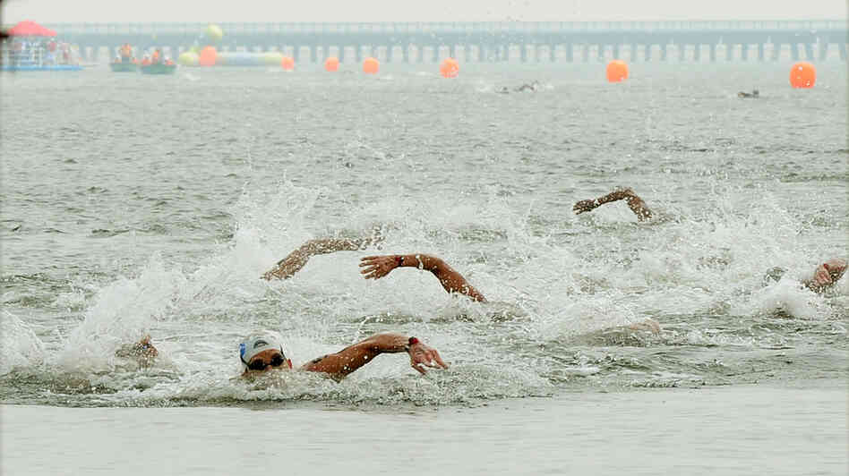 Spyros Gianniotis (front left) of Greece won the 10-kilometer open-water event at the 2011 world championships, held in Shanghai.