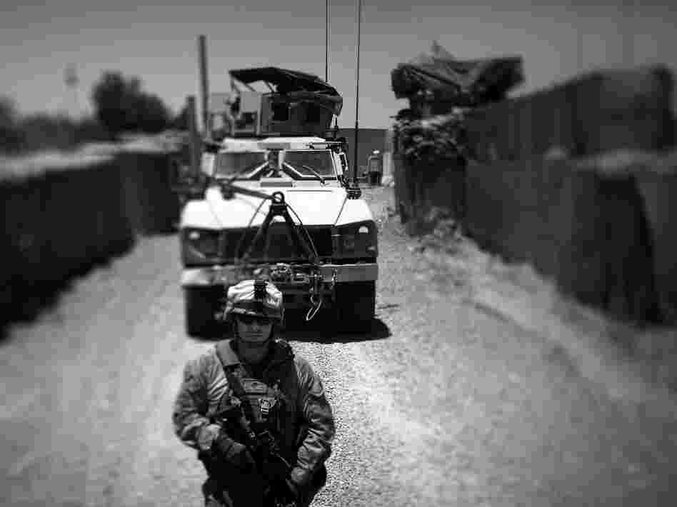 Marines with Echo Company of the Second Battalion, Ninth Marines out of Camp Lejeune, guide their M-ATV, a Mine Resistant Ambush Protected vehicle in to the district government compound in Marjah, Afghanistan.