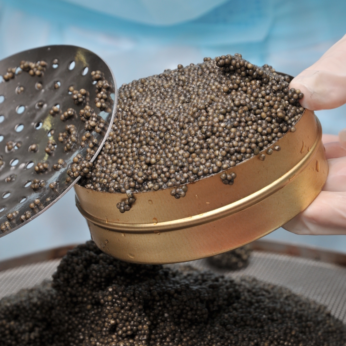 Caviar -- an expensive delicacy that's not much to look at.