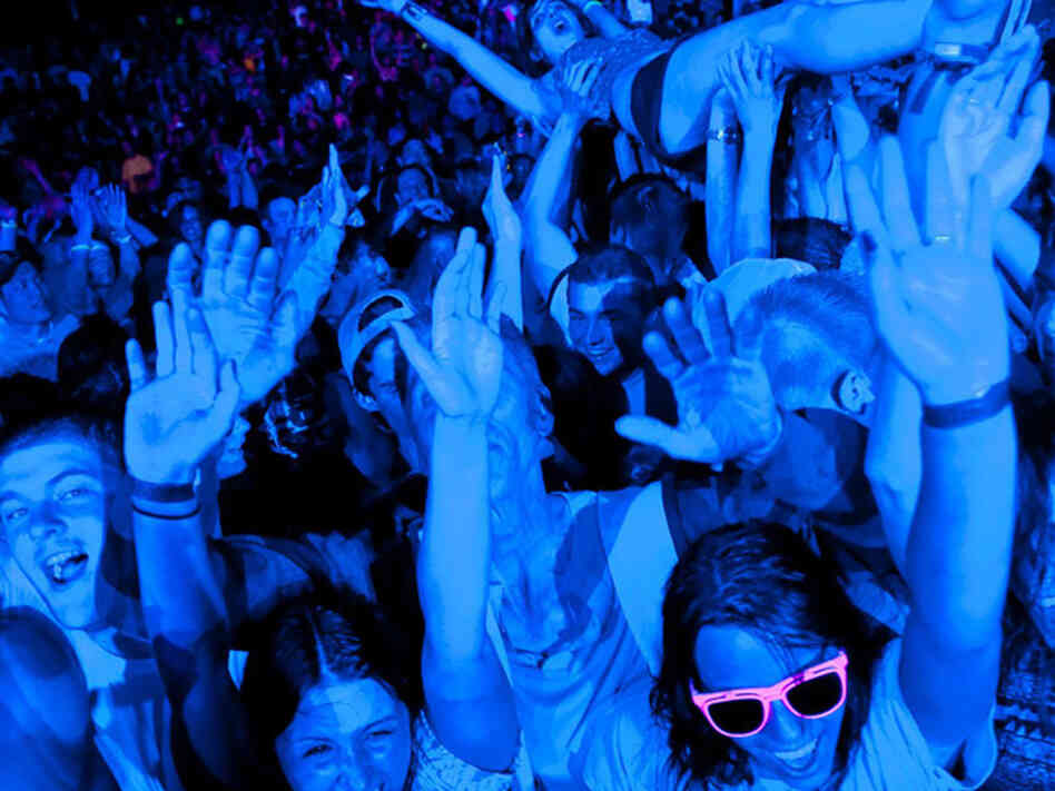 crowd dancing at the detroit electronic music festival crowd dancing at the detroit electronic music festival
