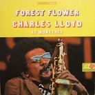 cover to Forest Flower cover to Forest Flower