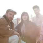 The Magnetic Fields The Magnetic Fields