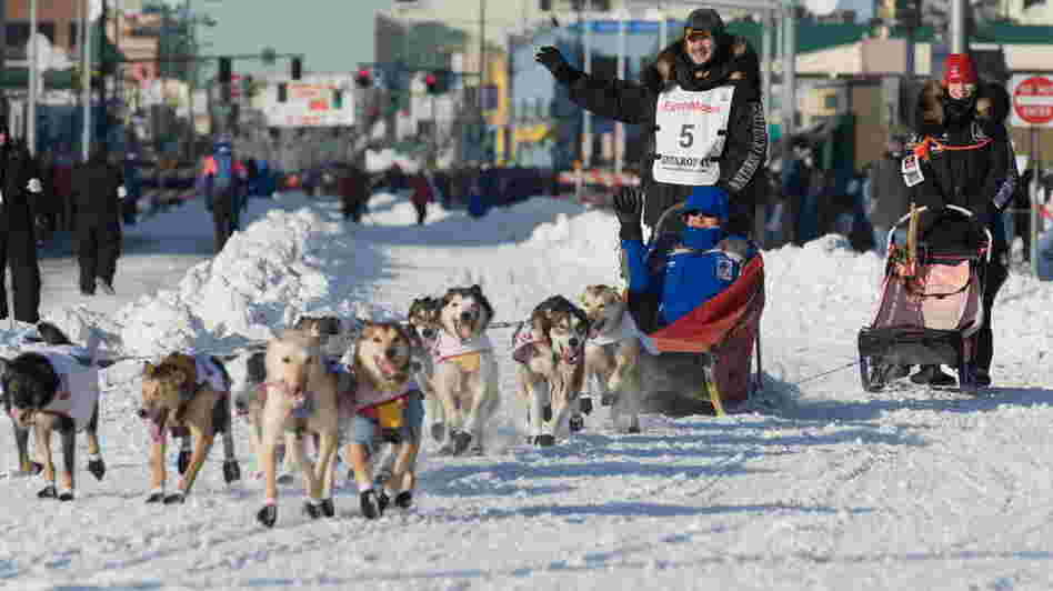High fashion in Anchorage. (Just kidding! It's a photo from the 2011 Iditarod.)