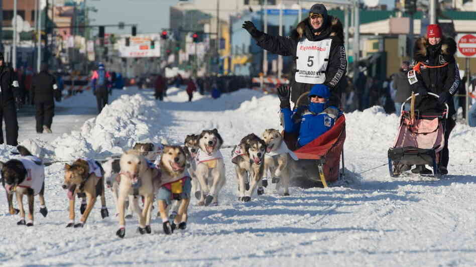 High fashion in Anchorage. (Just kidding! It's a photo from the 2011 Iditarod.)