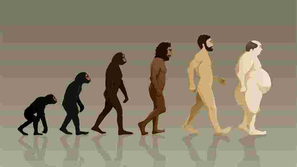 Some physicians say the theory of "evolutionary medicine" can help guide the treatment of modern ailments like obesity.
