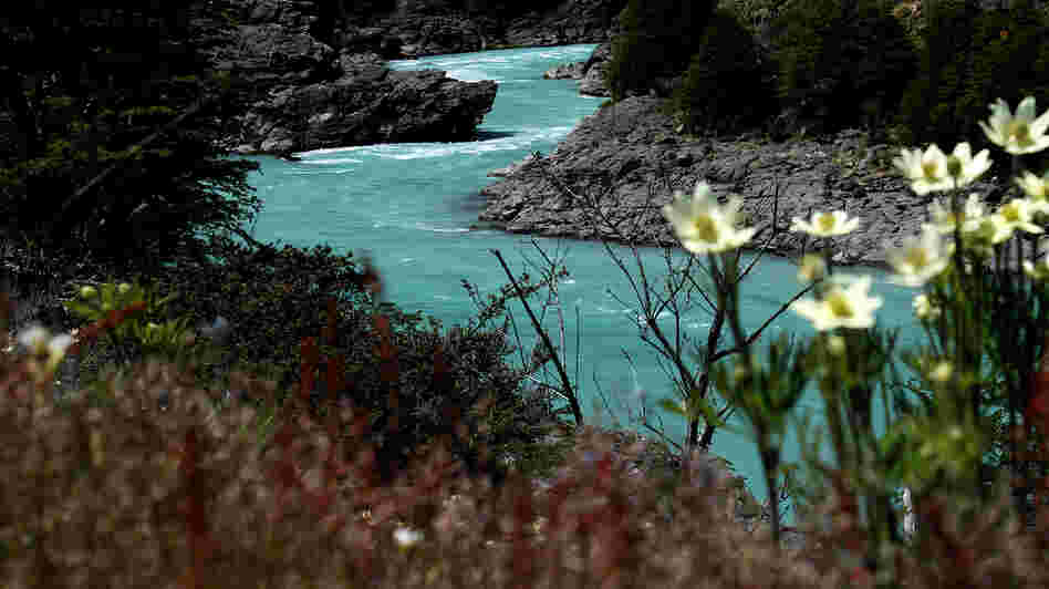 The Baker River is one of two waterways that would be dammed in a proposed hydroelectric project in the fabled Patagonia region of Chile. This section of the river would become a reservoir under the plan. The Baker River is one of two waterways that would be dammed in a proposed hydroelectric project in the fabled Patagonia region of Chile. This section of the river would become a reservoir under the plan.