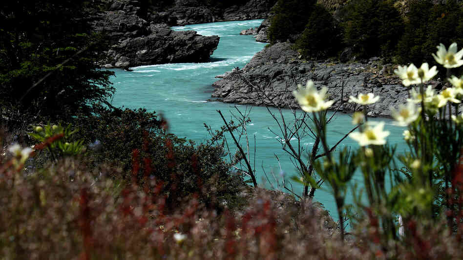 The Baker River is one of two waterways that would be dammed in a proposed hydroelectric project in the fabled Patagonia region of Chile. This section of the river would become a reservoir under the plan. The Baker River is one of two waterways that would be dammed in a proposed hydroelectric project in the fabled Patagonia region of Chile. This section of the river would become a reservoir under the plan.