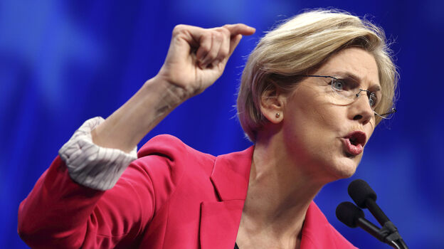 Democratic U.S. Senate candidate Elizabeth Warren addresses the Democratic State Convention before the delegate vote in Massachusetts Saturday.