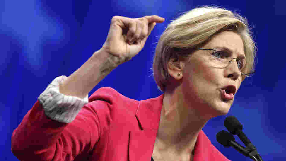 Democratic U.S. Senate candidate Elizabeth Warren addresses the Democratic State Convention before the delegate vote in Massachusetts Saturday.