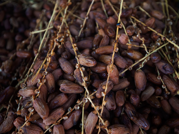 Dates for sale at a market in Tunisia.