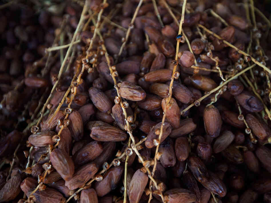 Dates for sale at a market in Tunisia.
