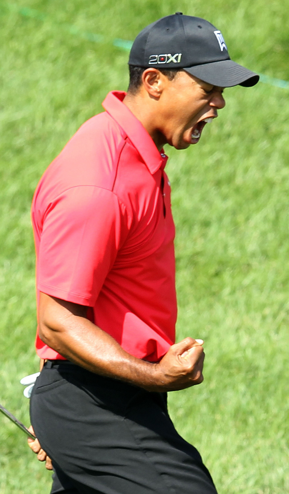 And then he roared: Tiger Woods celebrating after his chip-in at the 16th hole Sunday in the Memorial Tournament.