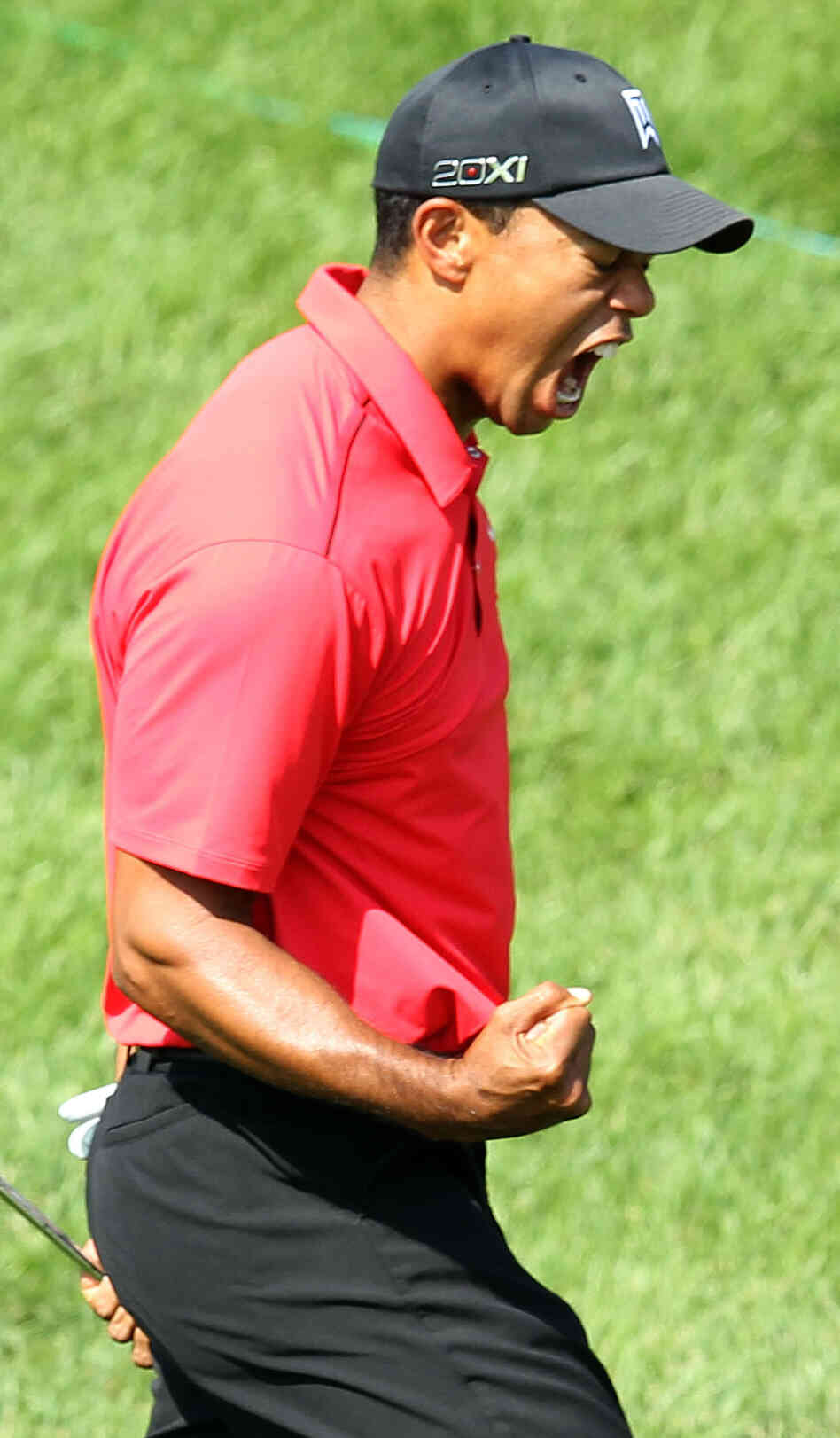 And then he roared: Tiger Woods celebrating after his chip-in at the 16th hole Sunday in the Memorial Tournament.
