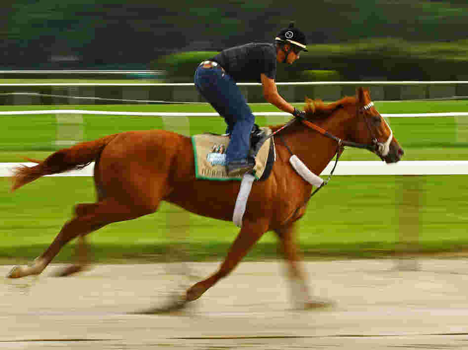 Triple Crown hopefull I'll Have Another is ridden by exercise rider Jonny Garcia during a morning workout at Belmont Park in Elmont, N.Y.