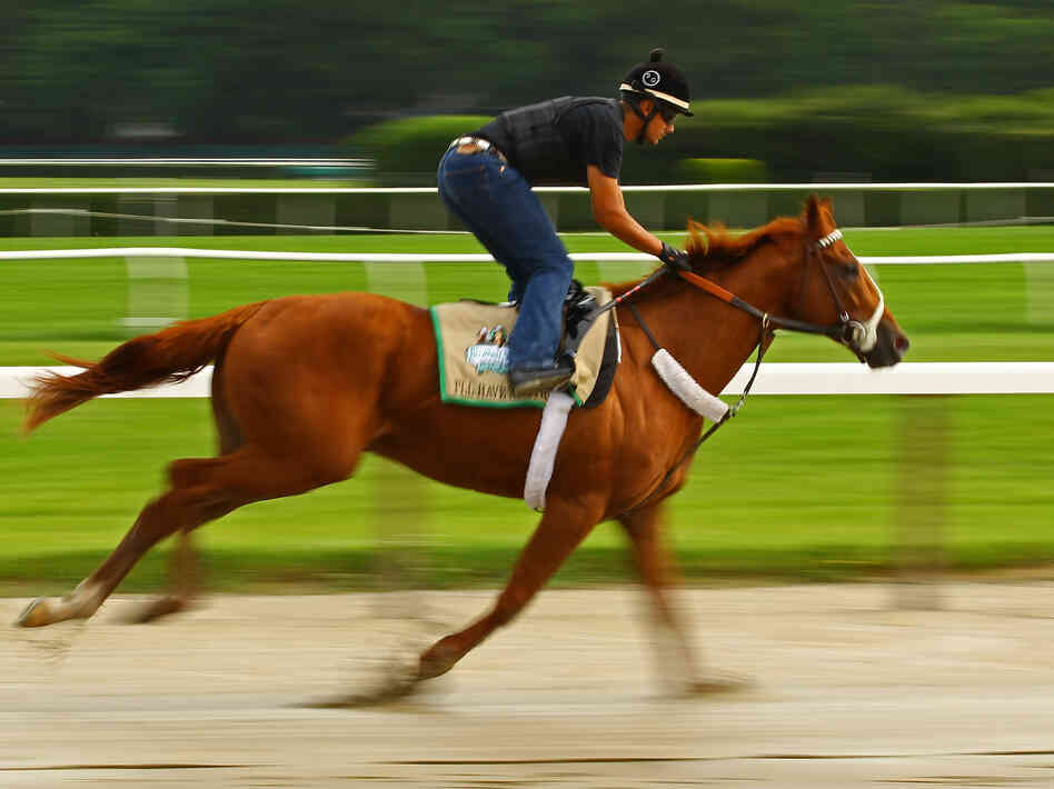Triple Crown hopefull I'll Have Another is ridden by exercise rider Jonny Garcia during a morning workout at Belmont Park in Elmont, N.Y.
