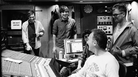 Grizzly Bear in the studio. Grizzly Bear in the studio.