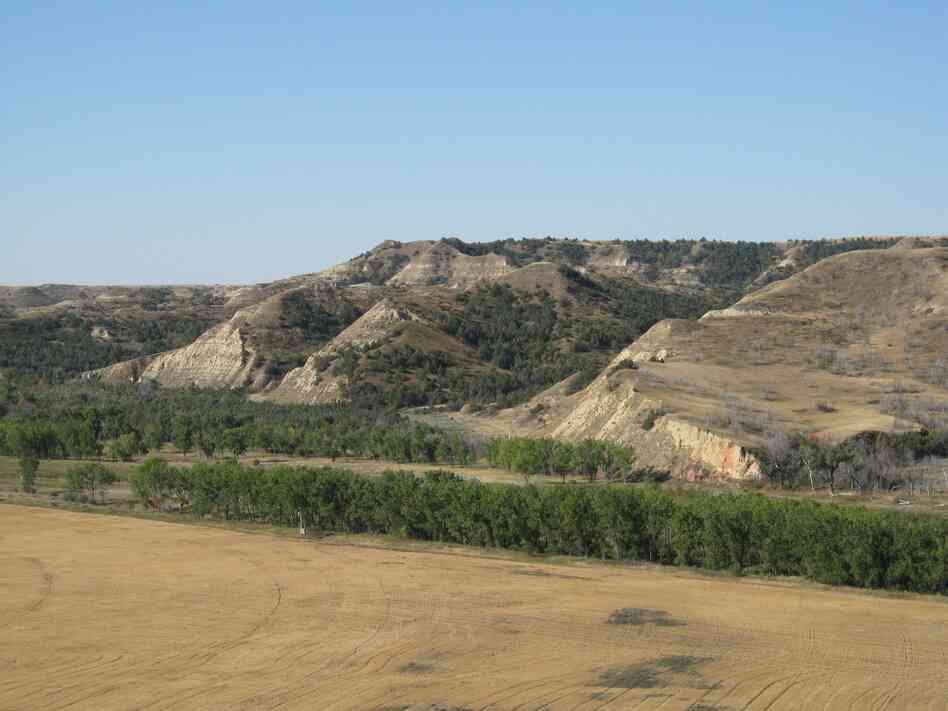 In this photo provided by the U.S. Forest Service, Theodore Roosevelt's Elkhorn Ranch site near Medora, N.D., is seen in Sept. 2007. Billings County officials want to build a crossing over the Little Missouri River and a road to cut commute times for locals. Opponents worry it would be a road heavy with oil traffic and RVs, ruining an area that inspired the conservation-minded president.