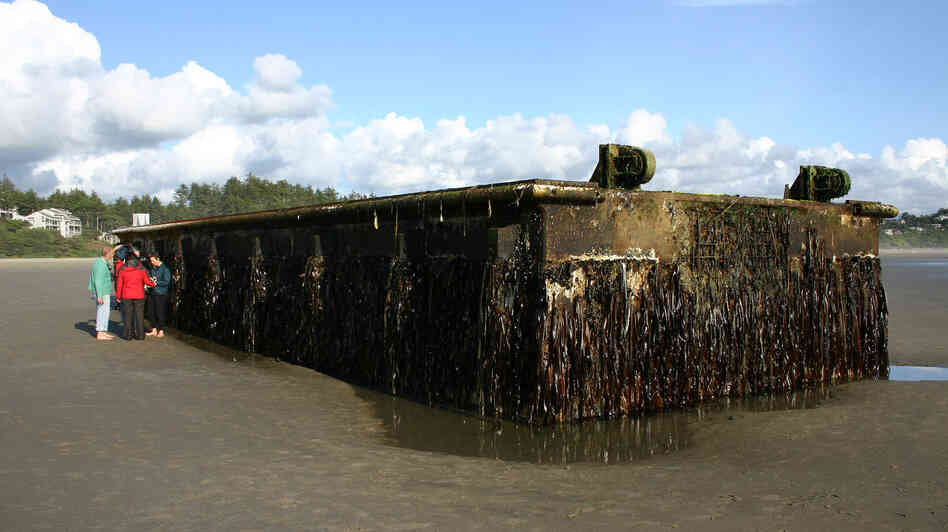 A large dock washed ashore early Tuesday on Agate Beach in Oregon. The nearly 70-foot-long dock was torn loose from a fishing port in northern Japan by last year's tsunami and drifted across thousands of miles of Pacific Ocean. Marine scientists are worried that invasive species may be among the 100 tons of marine life that traveled aboard the dock. A large dock washed ashore early Tuesday on Agate Beach in Oregon. The nearly 70-foot-long dock was torn loose from a fishing port in northern Japan by last year's tsunami and drifted across thousands of miles of Pacific Ocean. Marine scientists are worried that invasive species may be among the 100 tons of marine life that traveled aboard the dock.