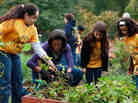 First Lady Michelle Obama, here with students from Bancroft Elementary School and Kimball Elementary School, has done a lot to promote healthy family dinners and garden-fresh food. First Lady Michelle Obama, here with students from Bancroft Elementary School and Kimball Elementary School, has done a lot to promote healthy family dinners and garden-fresh food.