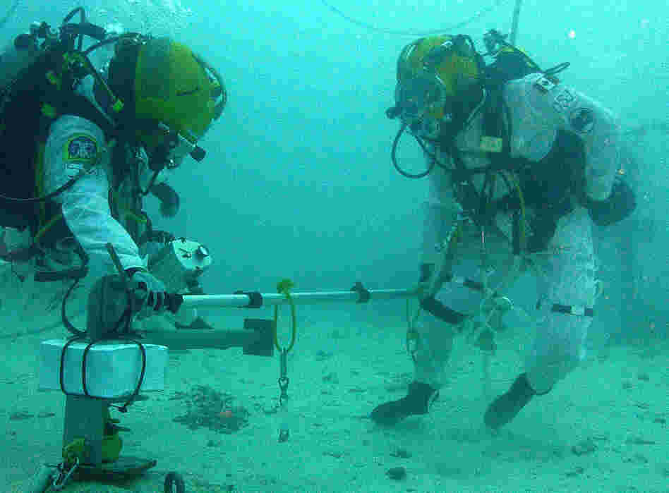 Astronauts Shannon Walker and David Saint-Jacques test a probe in the waters off Key Largo, Fla. Their research may help NASA set foot on an asteroid someday.