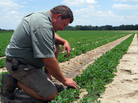 Georgia farmer Donald Chase says the Senate's proposed farm bill favors farmers in the Midwest and leaves Southern farmers without a safety net. Georgia farmer Donald Chase says the Senate's proposed farm bill favors farmers in the Midwest and leaves Southern farmers without a safety net.