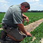 Georgia farmer Donald Chase says the Senate's proposed farm bill favors farmers in the Midwest and leaves Southern farmers without a safety net.